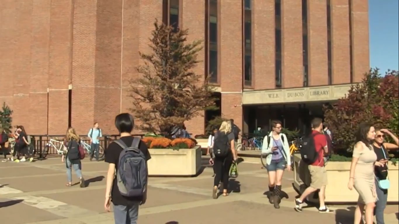 See Why the Libraries Are the Busiest Places on Campus